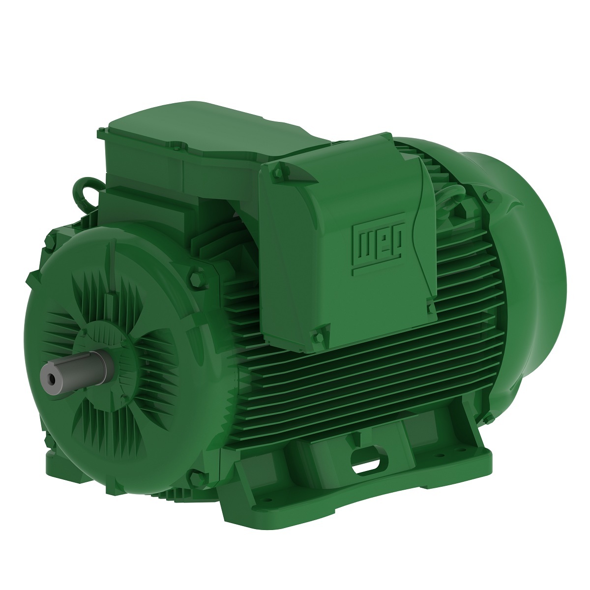 WEG W22 IE3 Electric Motor